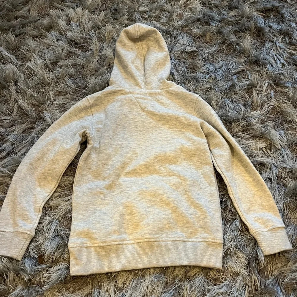 Kids Headquarters Boys Dinosaur Big Attitude Light Gray Pullover Hoodie 6 - Picture 4 of 4